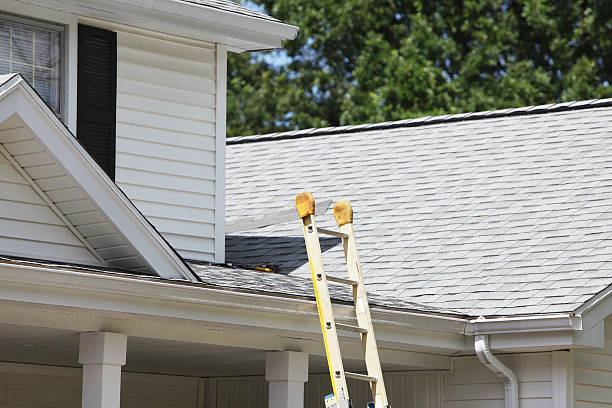 Siding for Commercial Buildings in Cold Springs, NV